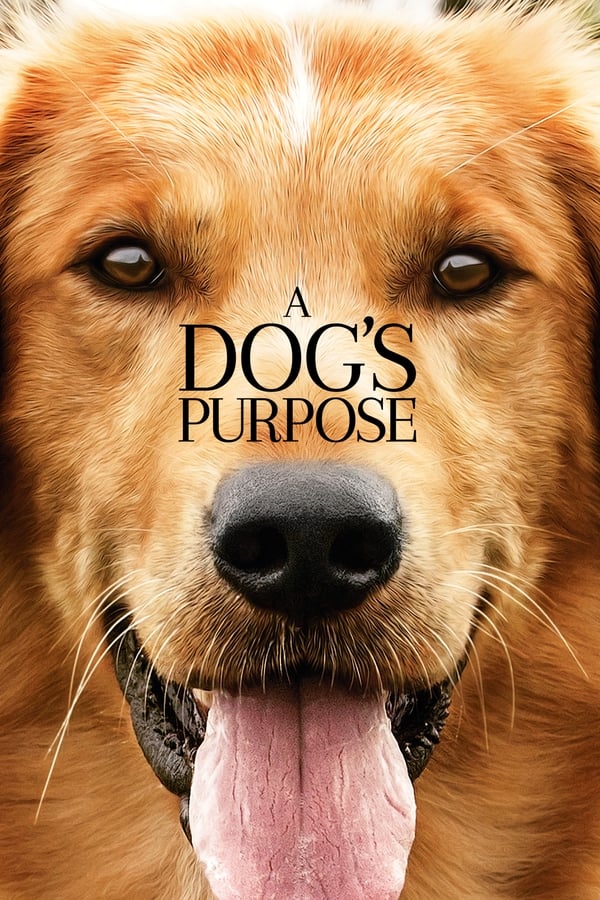 Affisch för A Dog's Purpose