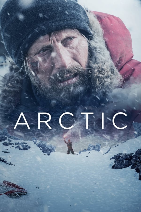 Affisch för Arctic