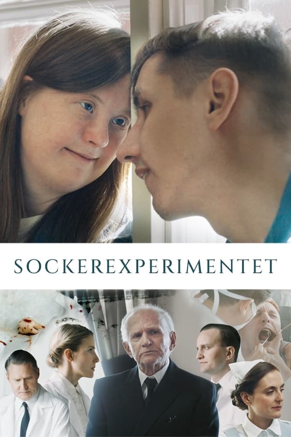 Affisch för Sockerexperimentet