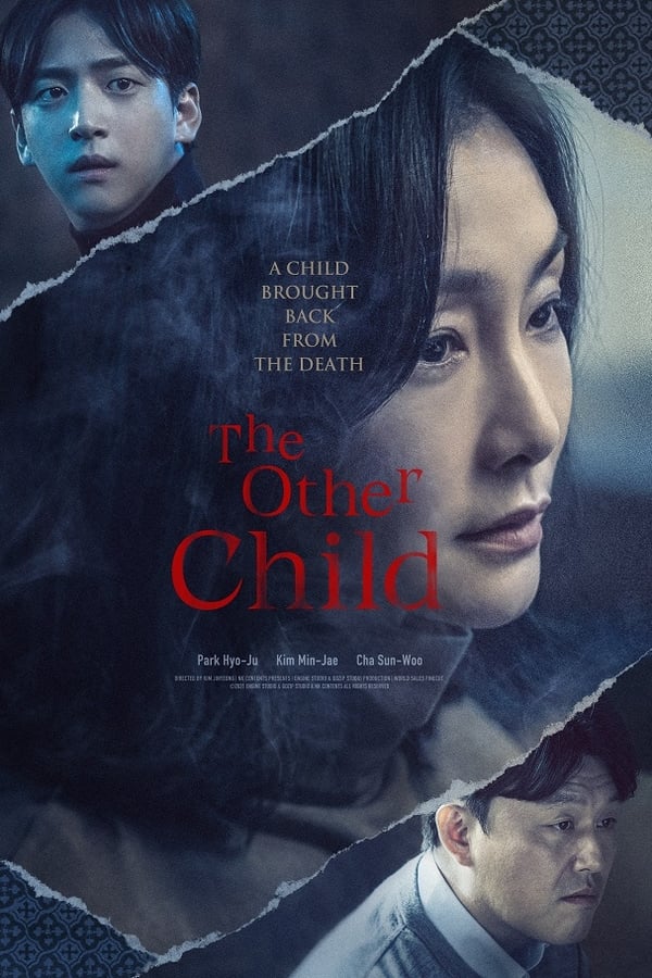 Affisch för The Other Child