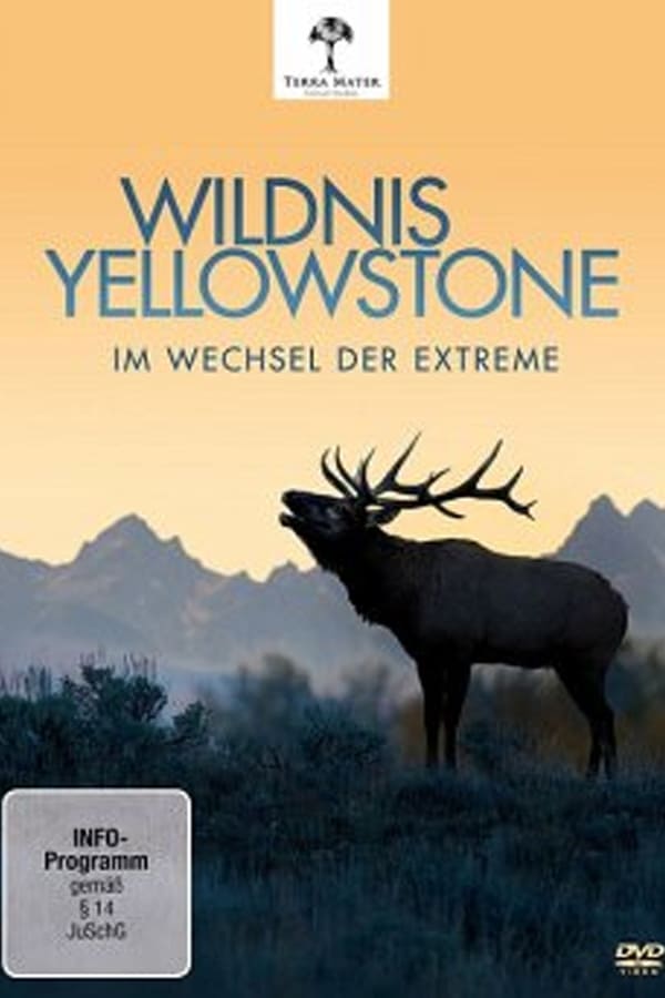 Wildnis Yellowstone – Im Wechsel der Extreme