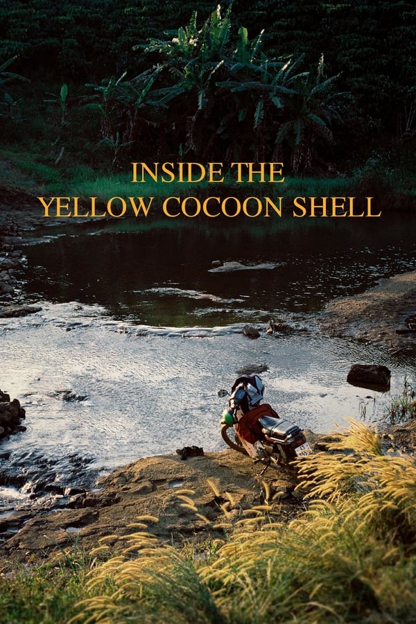 Inside the Yellow Cocoon Shell