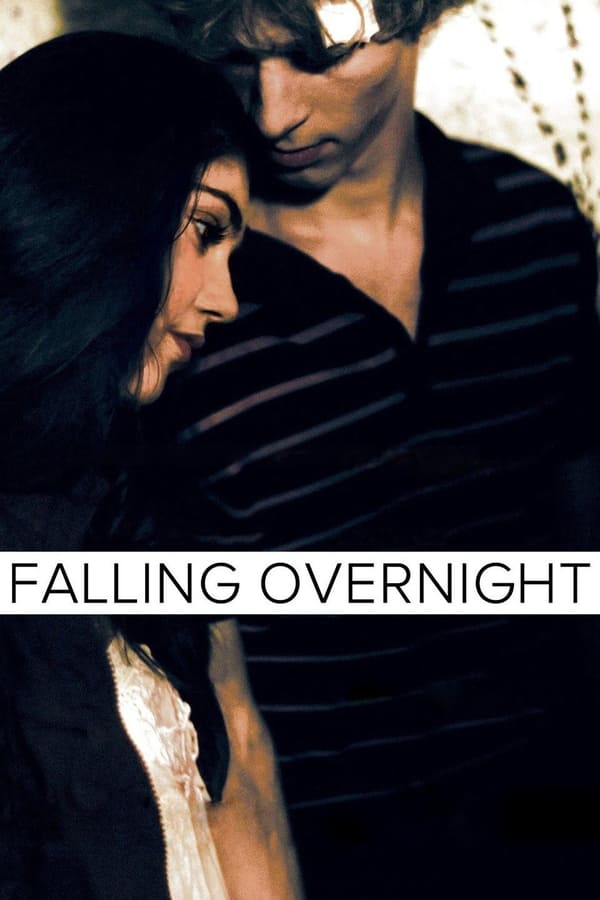 Affisch för Falling Overnight