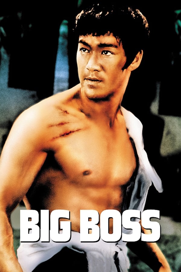 Affisch för The Big Boss