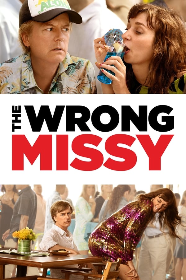 Affisch för The Wrong Missy