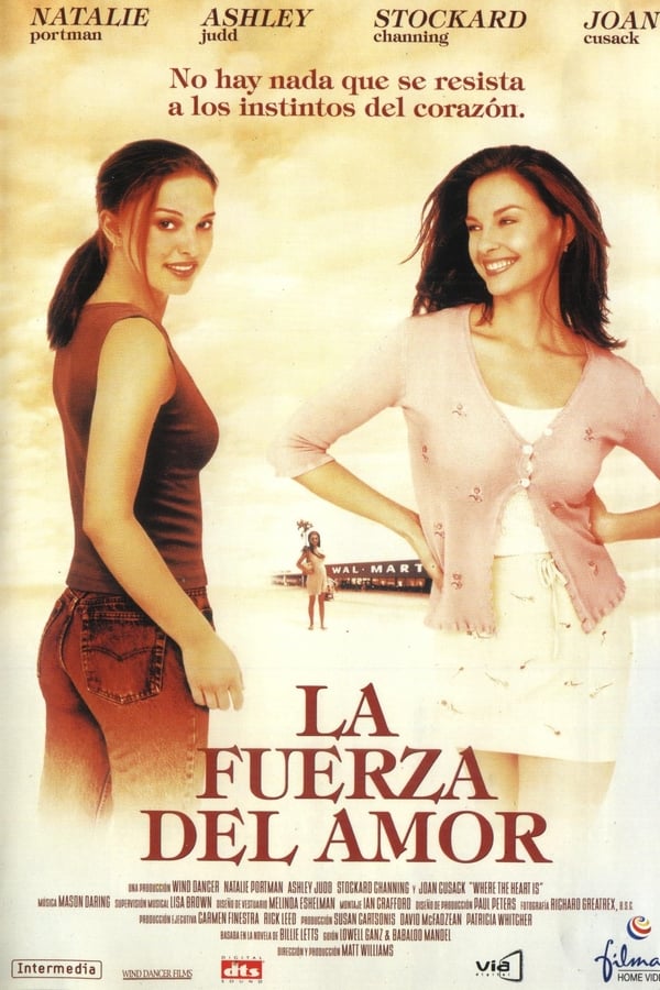 ¿Dónde quedó el amor? (2000) Full HD WEB-DL 1080p Dual-Latino