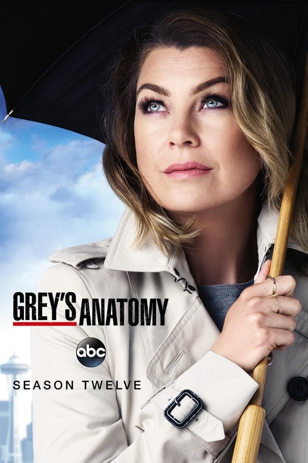 Affisch för Grey's Anatomy: Säsong 12