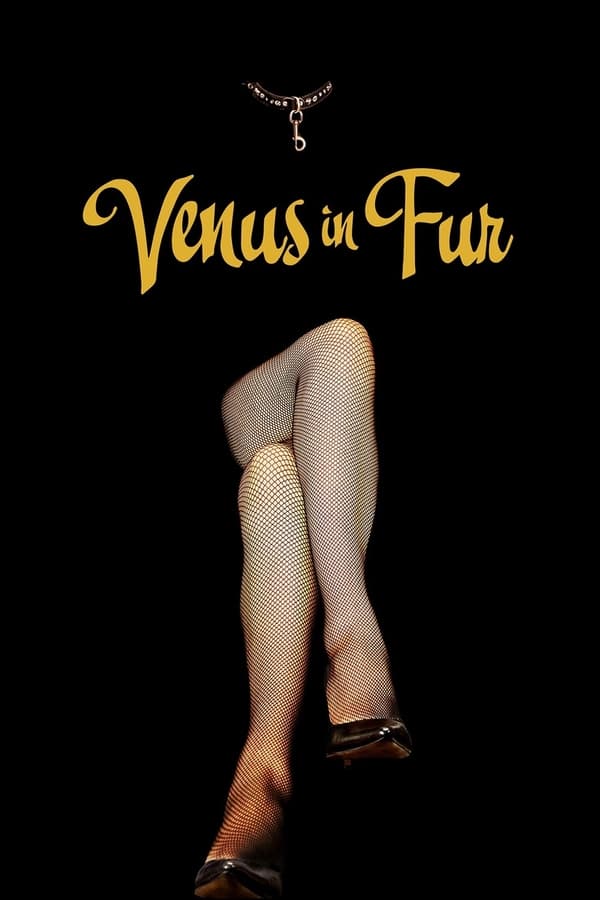 Affisch för Venus In Fur