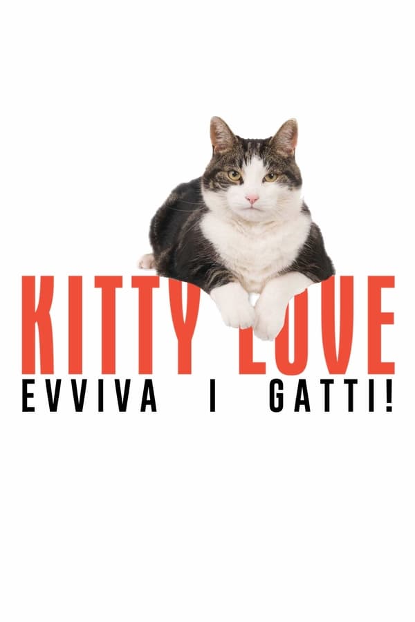 Kitty Love: evviva i gatti!