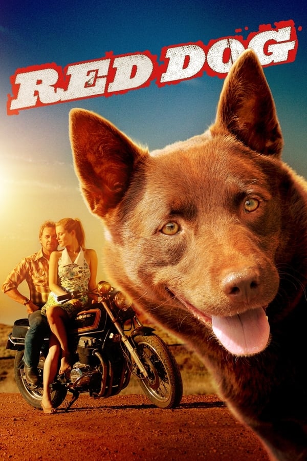 Affisch för Red Dog
