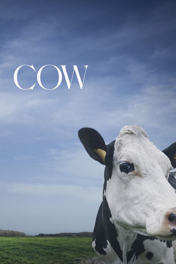 Affisch för Cow