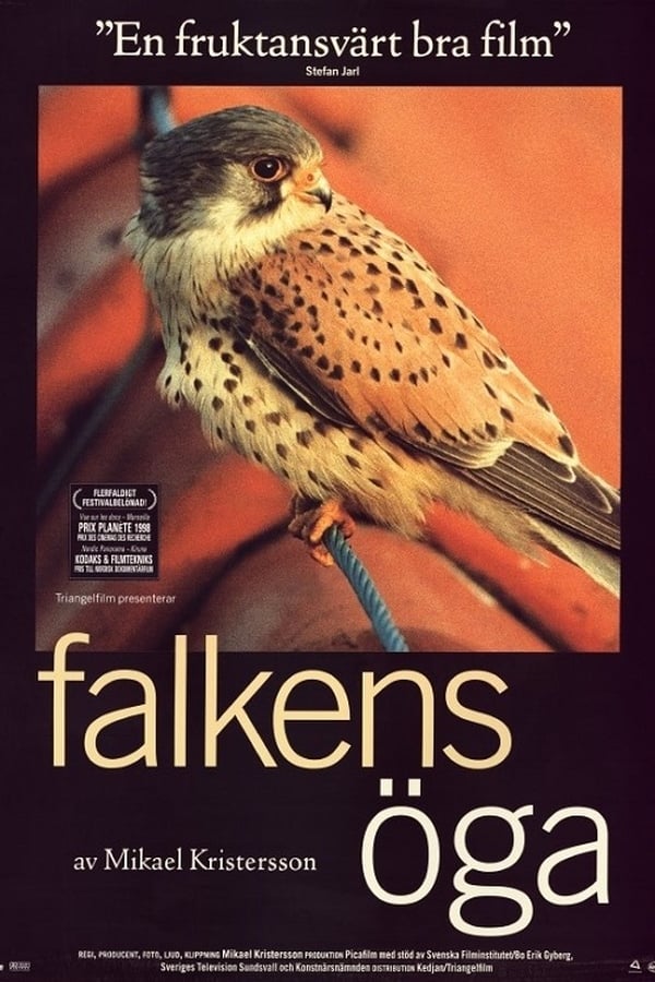 Affisch för Falkens Öga