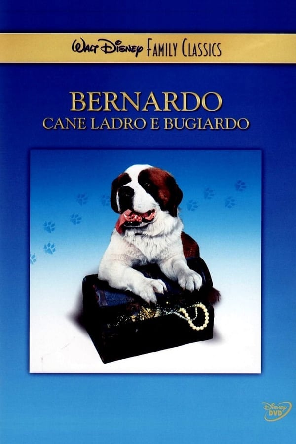 Bernardo, cane ladro e bugiardo