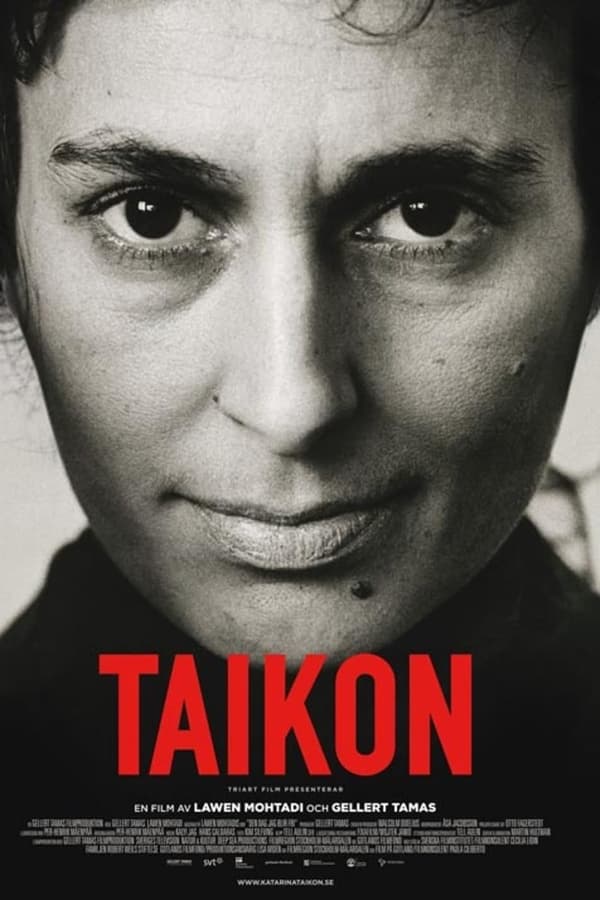 Affisch för Taikon