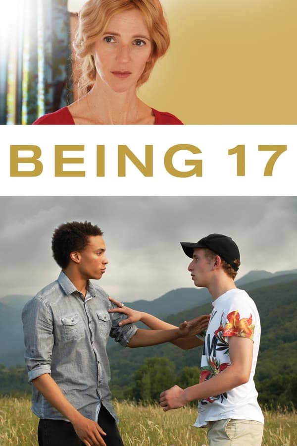 Affisch för Being 17