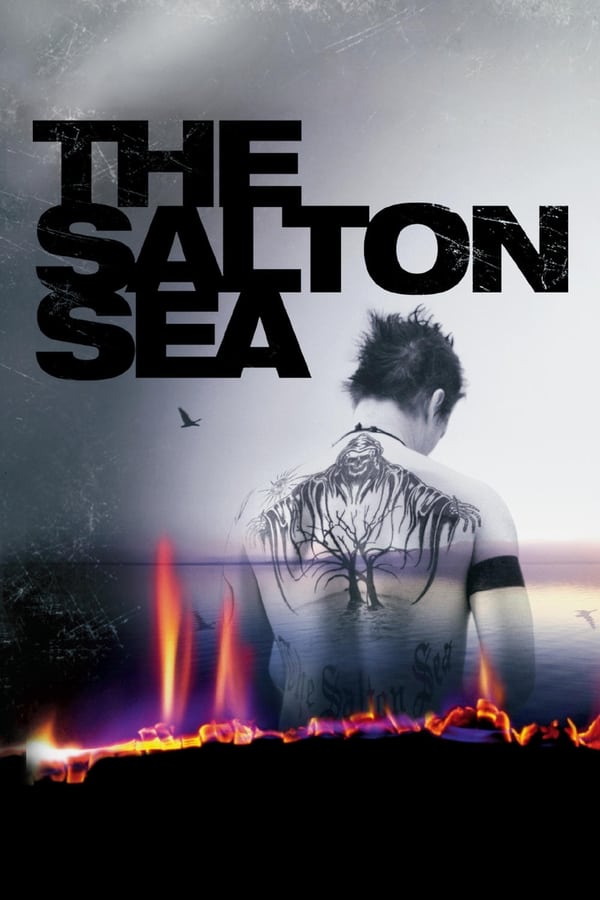 Affisch för Salton Sea