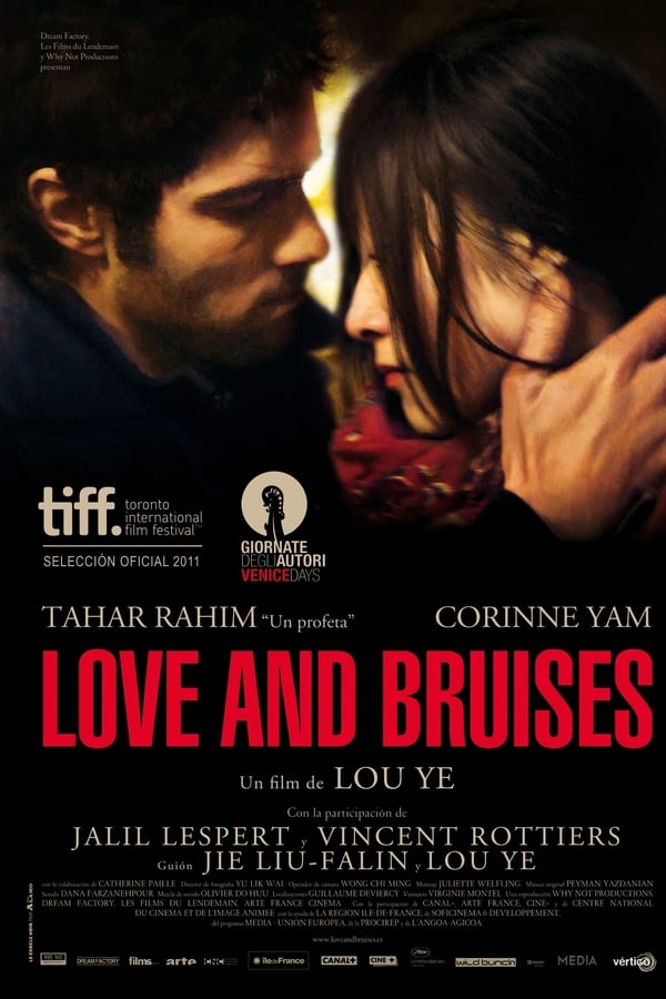 Affisch för Love And Bruises