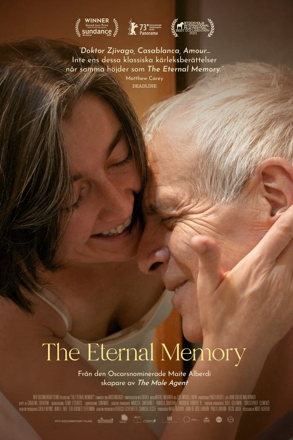 Affisch för The Eternal Memory