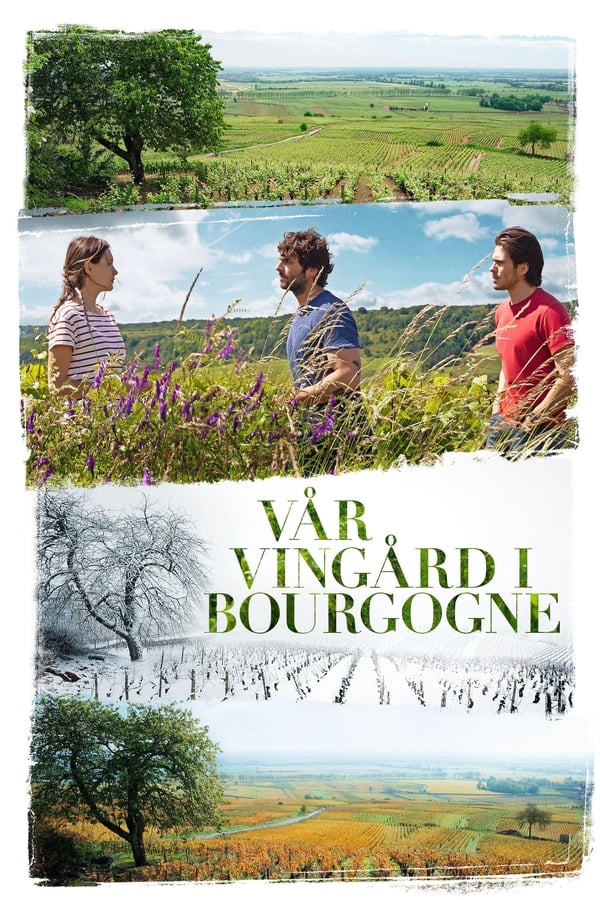 Affisch för Vår Vingård I Bourgogne
