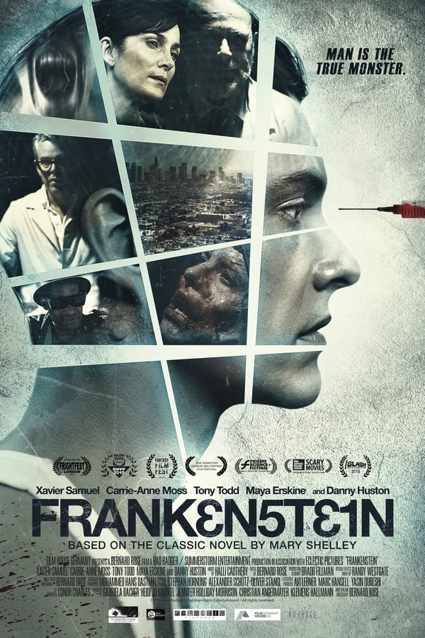 Frankenstein 2015 Dual Audio Hindi-English Full Movie 480p 720p