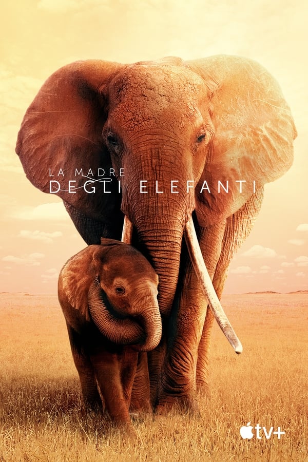La madre degli elefanti