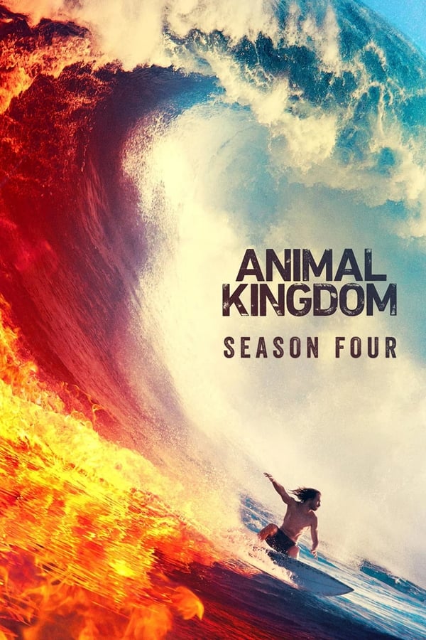 Affisch för Animal Kingdom: Säsong 4