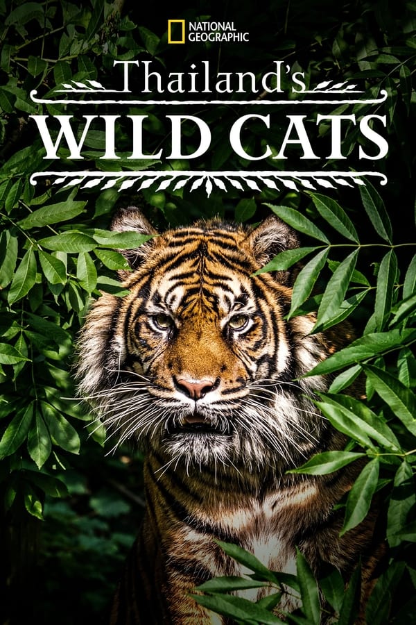 EN - Thailand's Wild Cats  (2021)