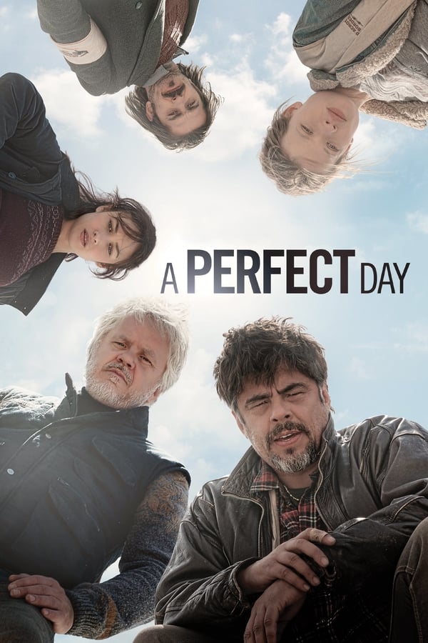 Affisch för A Perfect Day