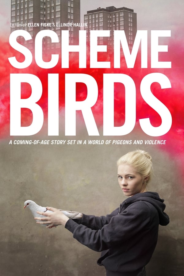 Affisch för Scheme Birds