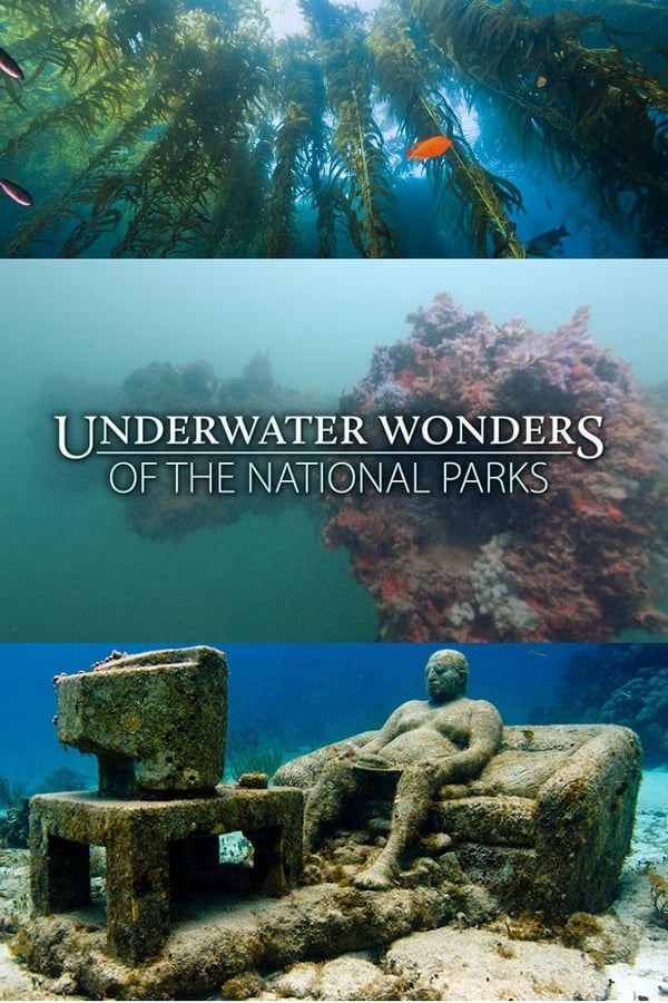 Underwater Wonders Of The National Parks
