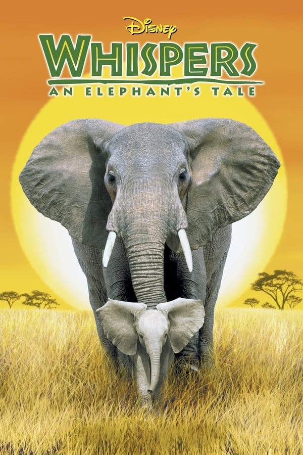 Bisbiglio – Elefantino coraggioso