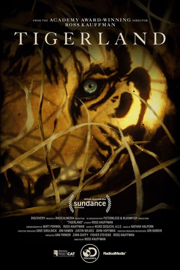 Tigerland (2019) — The Movie Database (TMDB)