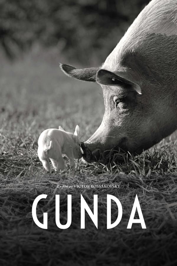 Affisch för Gunda