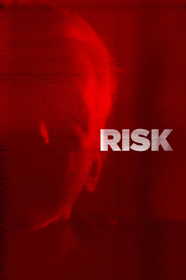 Affisch för Risk