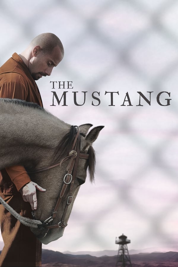 Affisch för The Mustang