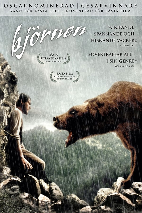 Affisch för Björnen