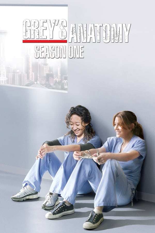 Affisch för Grey's Anatomy: Säsong 1