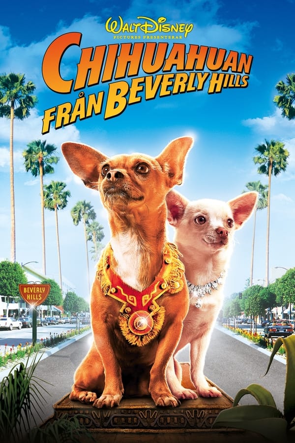 Affisch för Chihuahuan Från Beverly Hills