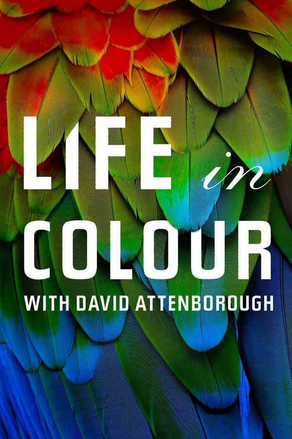 Affisch för Naturens Färger Med David Attenborough