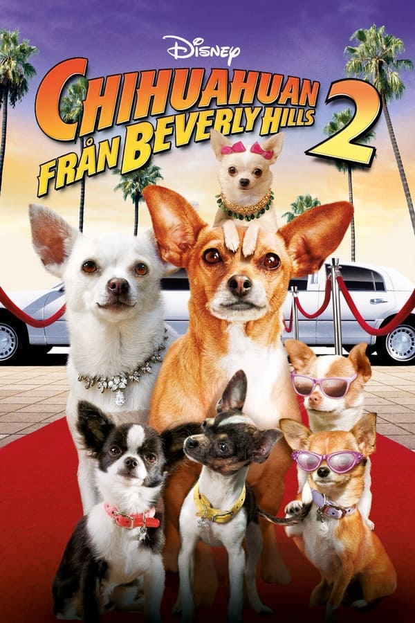 Affisch för Chihuahuan Från Beverly Hills 2