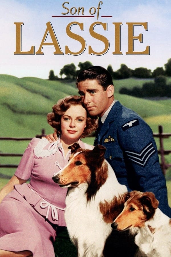 Il figlio di Lassie