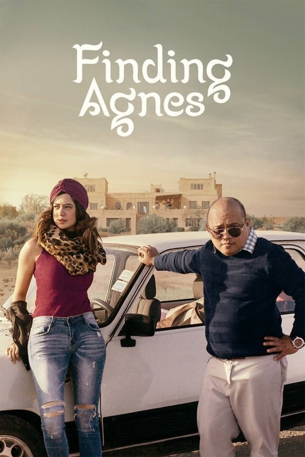 Affisch för Finding Agnes