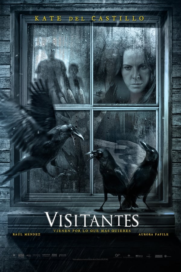 Visitantes (2014) Full HD BRRip 1080p Dual-Latino