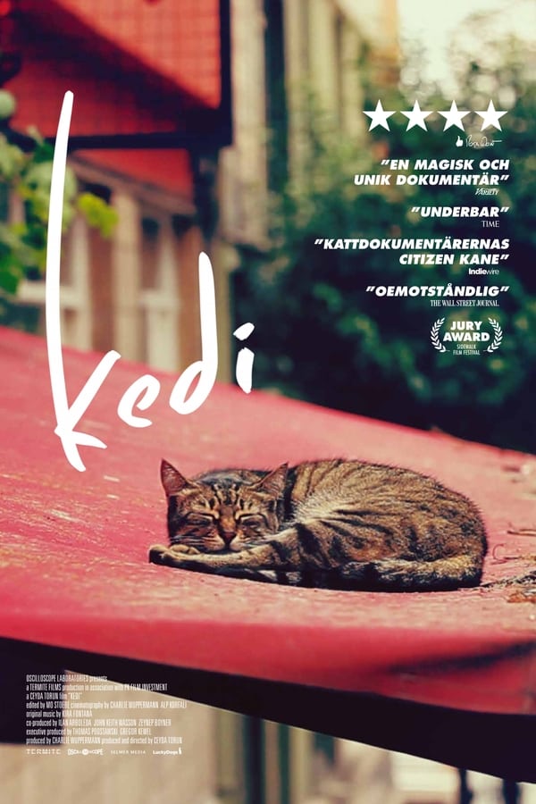 Affisch för Kedi
