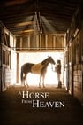 A Horse from Heaven online free