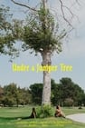 Under a Juniper Tree