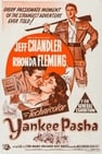 Yankee Pasha