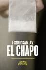 Uppdrag granskning: I skuggan av El Chapo