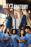 Season 19 - Grey's Anatomy