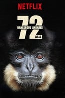 Season 1 - 72 Dangerous Animals: Asia